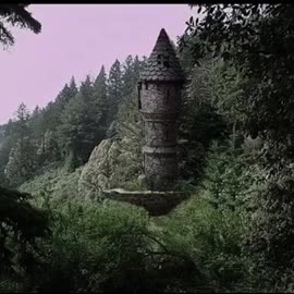 17535233094721.mp4