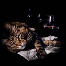 1128959534animals-pibig-info-p-kot-i-bokal-vina-zhivotnie-vkontakte-19.jpg