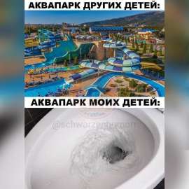IMG20250829065326338.jpg