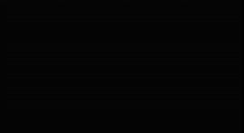 31314.mp4