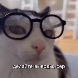 17376235923240.mp4