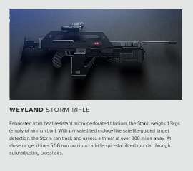 weylandrifle1.jpg