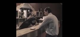 1991.mp4