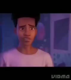 spider.mp4