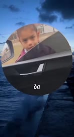 alertorig (53).webm