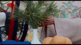 штрих.webm