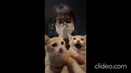 clideoeditorb3cd62836aa94c99a4c8d02fede20347.mp4