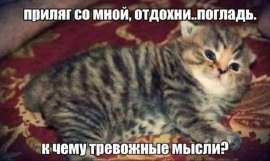 1697371738845.jpeg