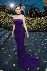 rachel-brosnahan-shines-in-sergio-hudson-at-met-gala-2025-4.jpg