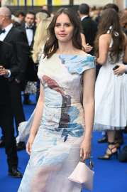 felicity-22.jpg.2b959c2d28e32122fc9c31a26590940c.jpg