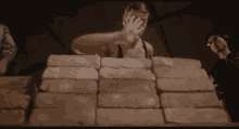 16770796372070.gif