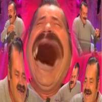 1747322273382.png