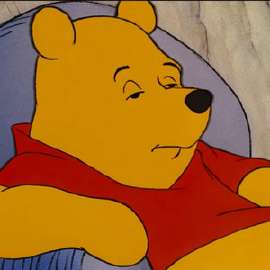 unamused winnie the pooh.jpeg