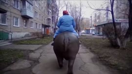 17485521225510-news.mp4