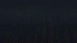 1593941731794.webp