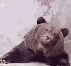 1747854364182.gif