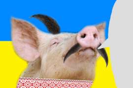image.png.bb137d89e9cb5e9f05eb9de1904e4685.png