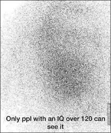 17452137215530.jpg