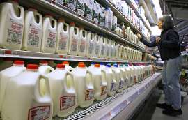 Milk-at-grocery-store.jpg