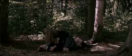 the woods.jpg