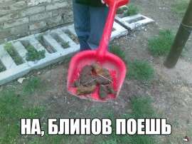 1000009571.jpg