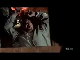 Walter White Screaming (Crawl Space Scene).mp4
