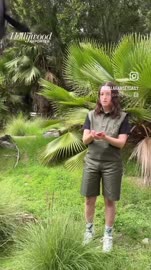 RDT20250602114934.mp4