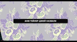 хуетейлор бджой.webm
