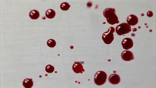 001.mp4