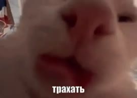 16911573802680.mp4