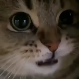 17463567577910.mp4