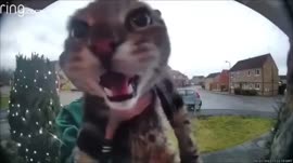 VID20250617174730.mp4