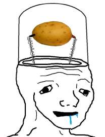 c2pn4n8z2gse1.jpg
