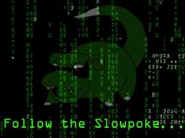 slowpoke.jpg