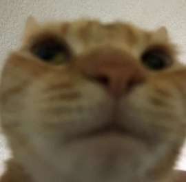 6wBtSGsaH8.jpg