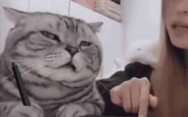 getVideoPreview.webp