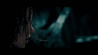2 Underworld Evolution. Ending scene Selene and Michael.mp4