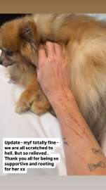 509706483184168254731038492088133299824910951n.jpeg