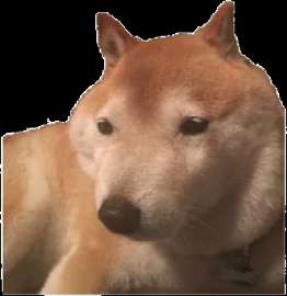 kindpng2580301.png