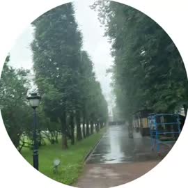 video (5).mp4