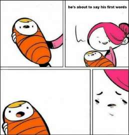 1729736054369.jpg