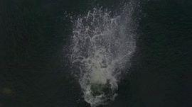 12354647589734595745.webm