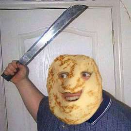464567.jpg