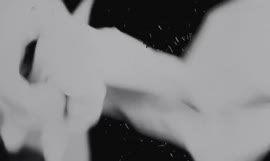 .mp4