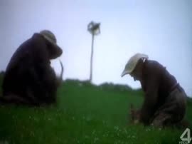 Двач никогда не меняется.mp4