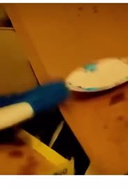 4931226.mp4
