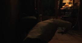 run.mp4