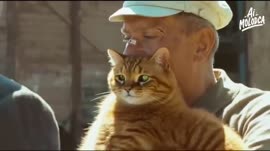 Генеральские котлы, но это мультивселенная (1).mp4