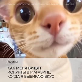 01.mp4