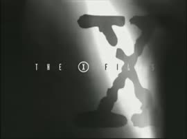 17516588900420.mp4